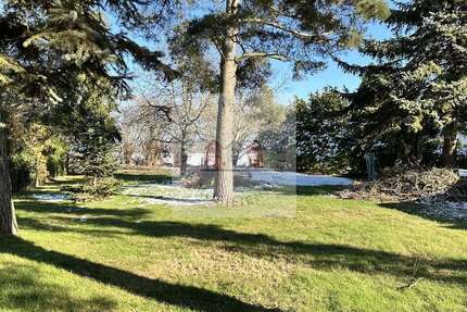 Grundstück zu verkaufen in Taucha 379.000 € 1240 m² zimmer