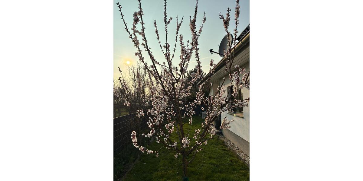 Bungalow Markkleeberg - 5 Zimmer, 170 m&sup2;, 739.000&euro; | Angebot:25612688