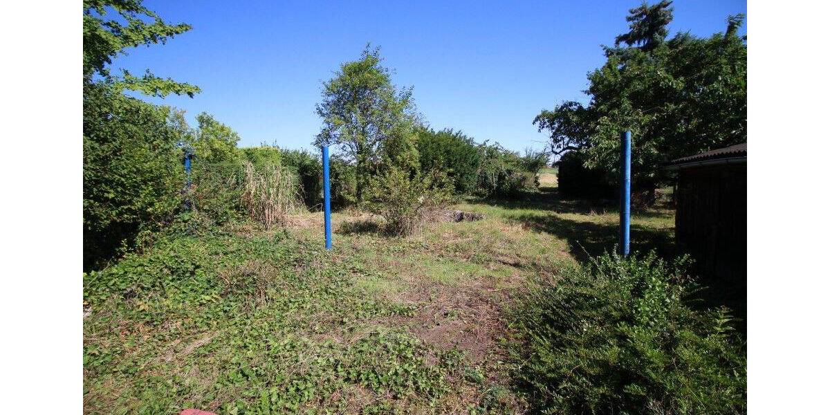 Traumhaft großes Grundstück in Tollwitz bei Markranstädt zum Traumhausbau! zimmer
