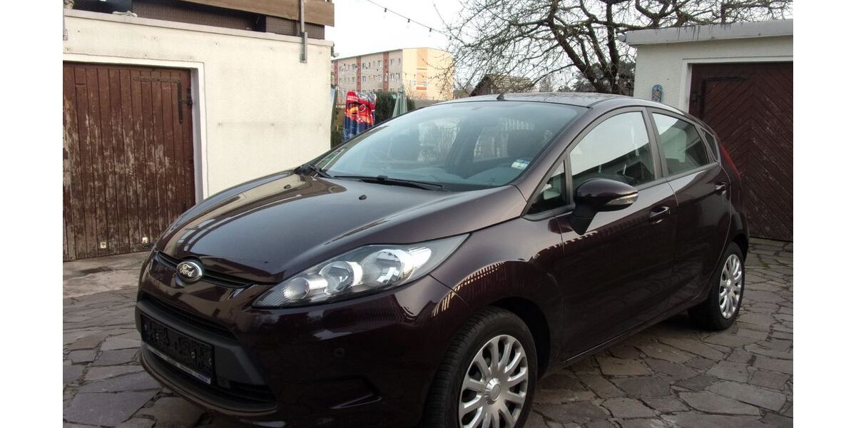 Ford Fiesta 58.858 km 6.000 &euro; Wurzen 04808