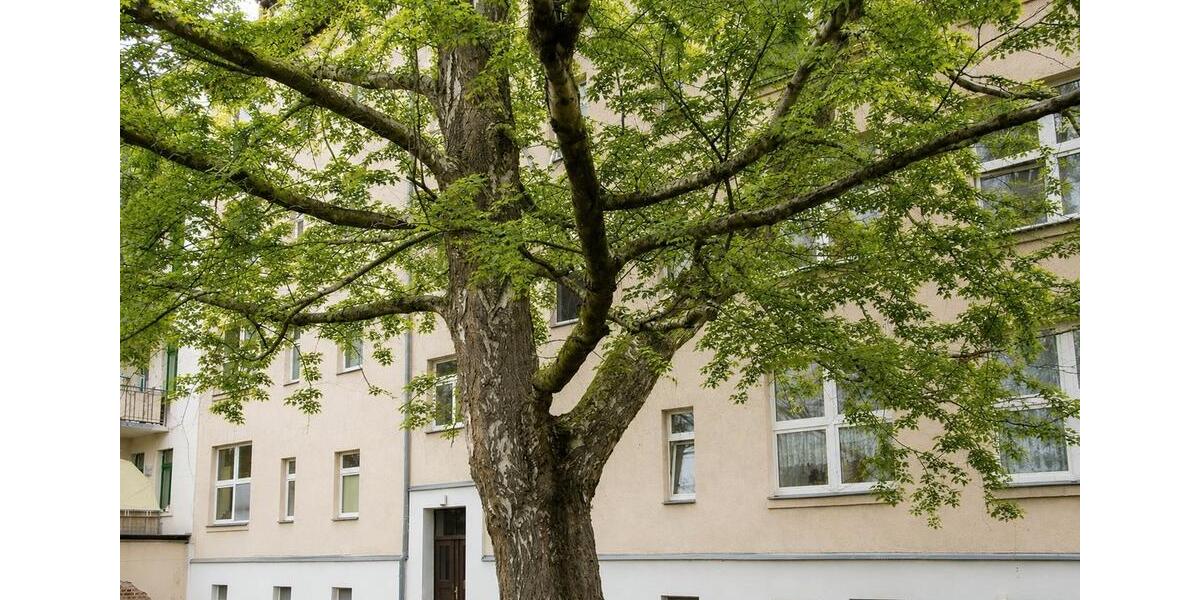 Etagenwohnung Leipzig Mitte - 4 Zimmer, 91 m&sup2;, 299.000&euro; | Angebot:26942616