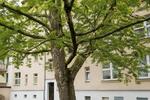 Etagenwohnung Leipzig Mitte - 4 Zimmer, 91 m&sup2;, 299.000&euro; | Angebot:26942616