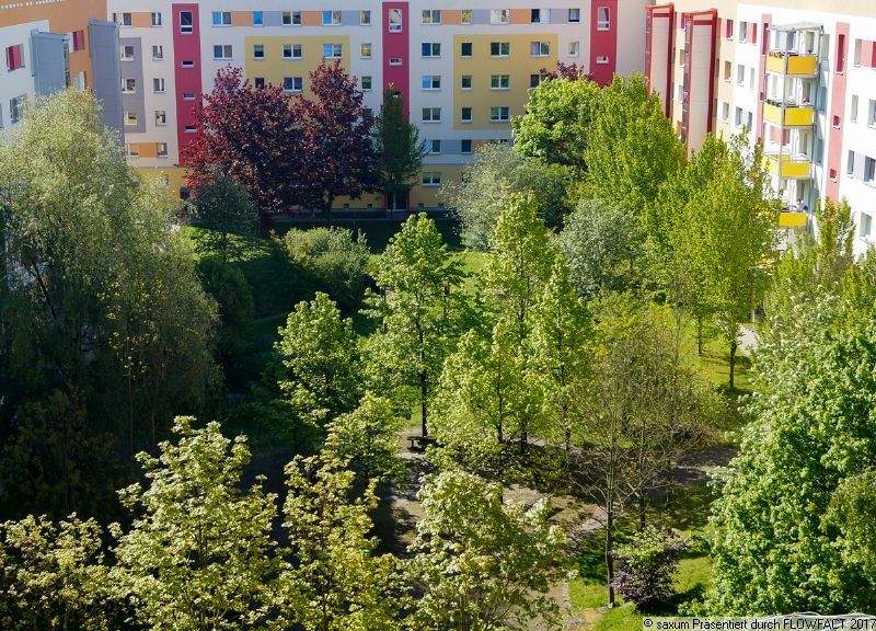 Etagenwohnung Leipzig Lausen-Grünau - 2 Zimmer, 52 m&sup2;, 535&euro; | Angebot:25801186