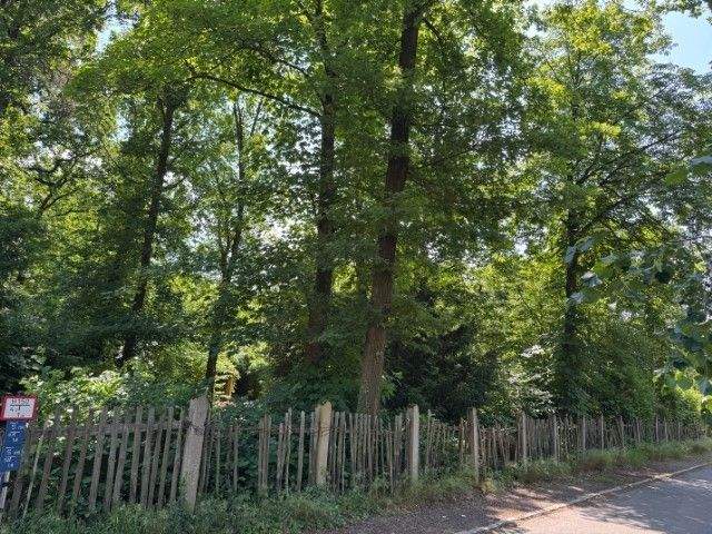 Grundstück Machern - 368.000&euro; | Angebot:25748548