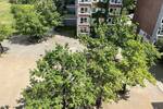 Etagenwohnung Leipzig Grünau Grünau-Mitte - 1 Zimmer, 33 m&sup2;, 65.000&euro; | Angebot:26883477