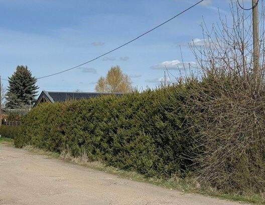 Grundstück Leipzig Knautkleeberg-Knauthain - 50.000&euro; | Angebot:25692062