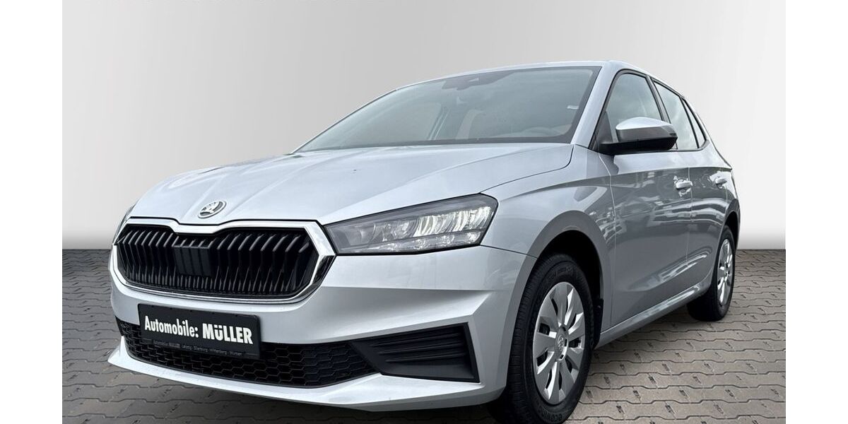 Skoda Fabia 61.897 km 12.690 &euro; Wurzen 04808