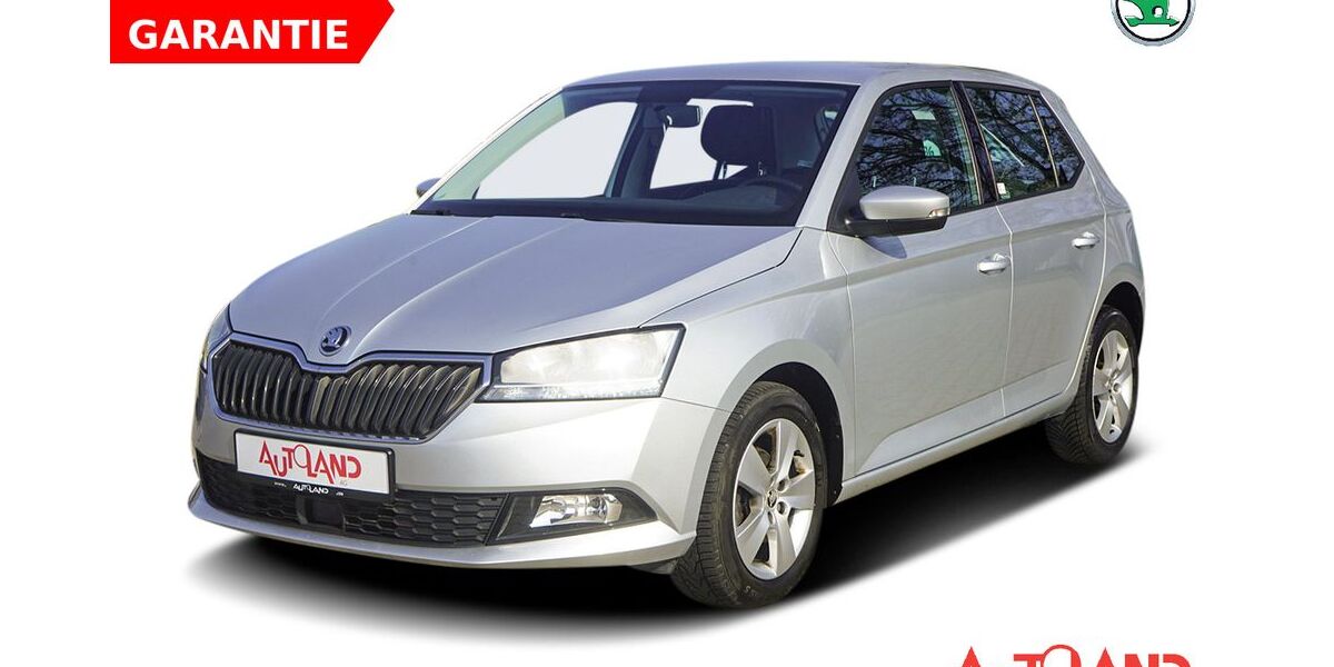 Skoda Fabia 97.900 km 10.990 &euro; Brehna 06796