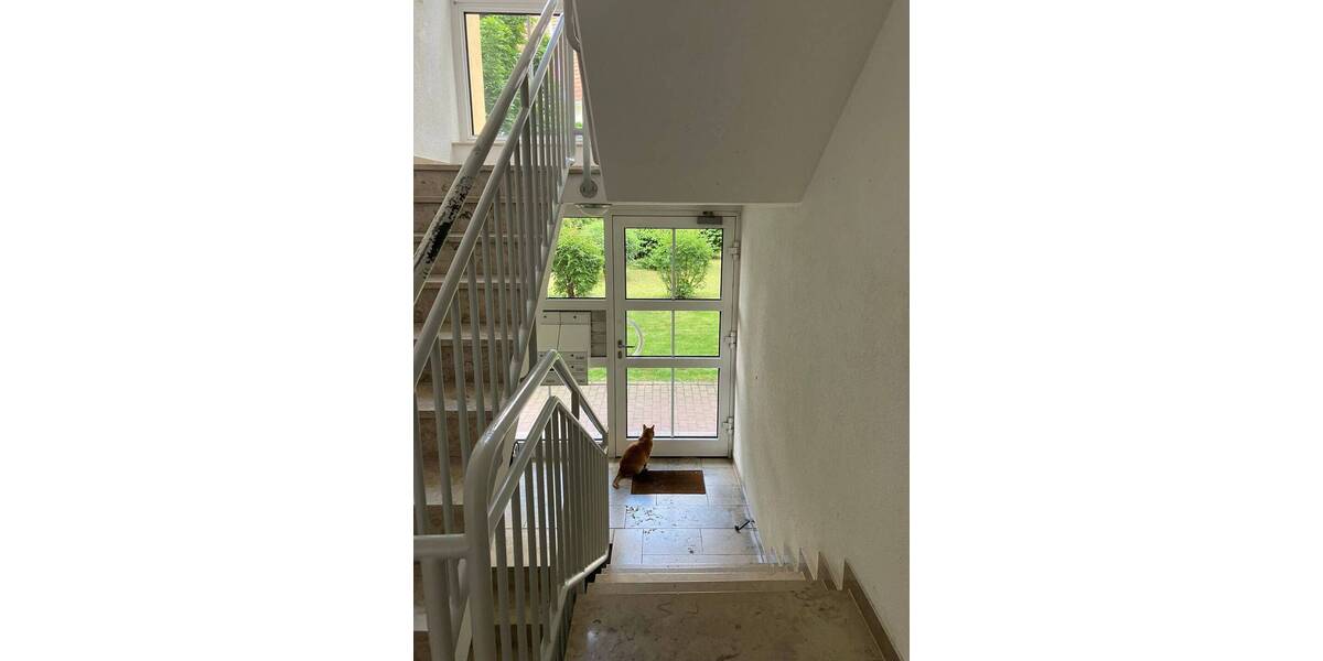Etagenwohnung Markkleeberg - 2 Zimmer, 67 m&sup2;, 700&euro; | Angebot:26554683