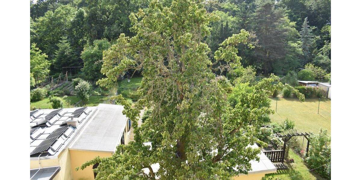 Mehrfamilienhaus, Wohnhaus Grimma - 9 Zimmer, 206 m&sup2;, 299.000&euro; | Angebot:25682184