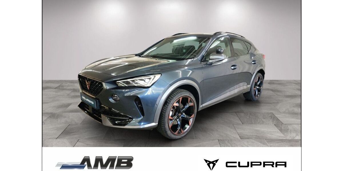 Cupra Formentor 46.210 km 27.450 &euro; Borna 04552