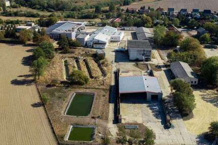 Grundstück Grimma - 1.900.000&euro; | Angebot:26182682