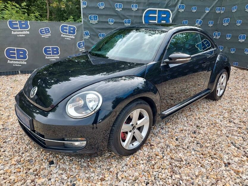 Beetle