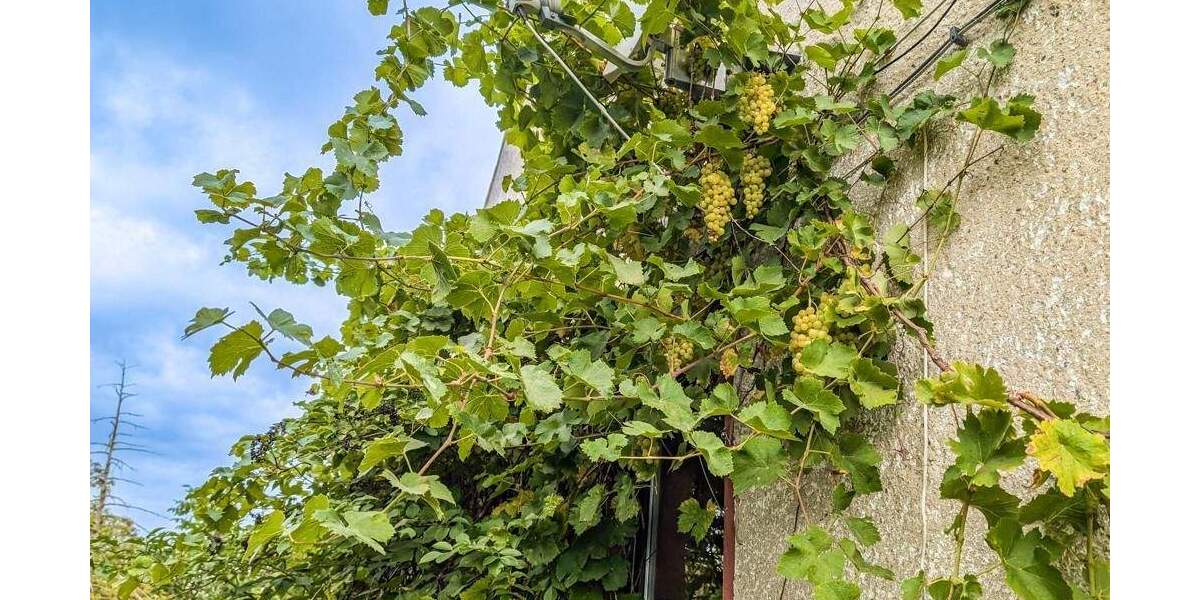 Grundstück Markranstädt Quesitz - 139.000&euro; | Angebot:25673709