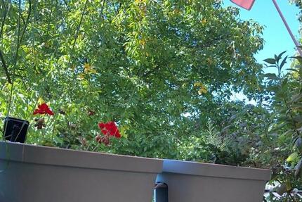 2-Raum-Wohnung in Taucha – Balkon, Fußbodenheizung & Stellplatz! 2 zimmer