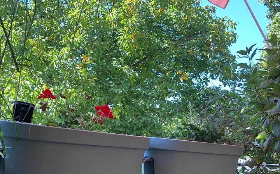 2-Raum-Wohnung in Taucha – Balkon, Fußbodenheizung & Stellplatz! 2 zimmer