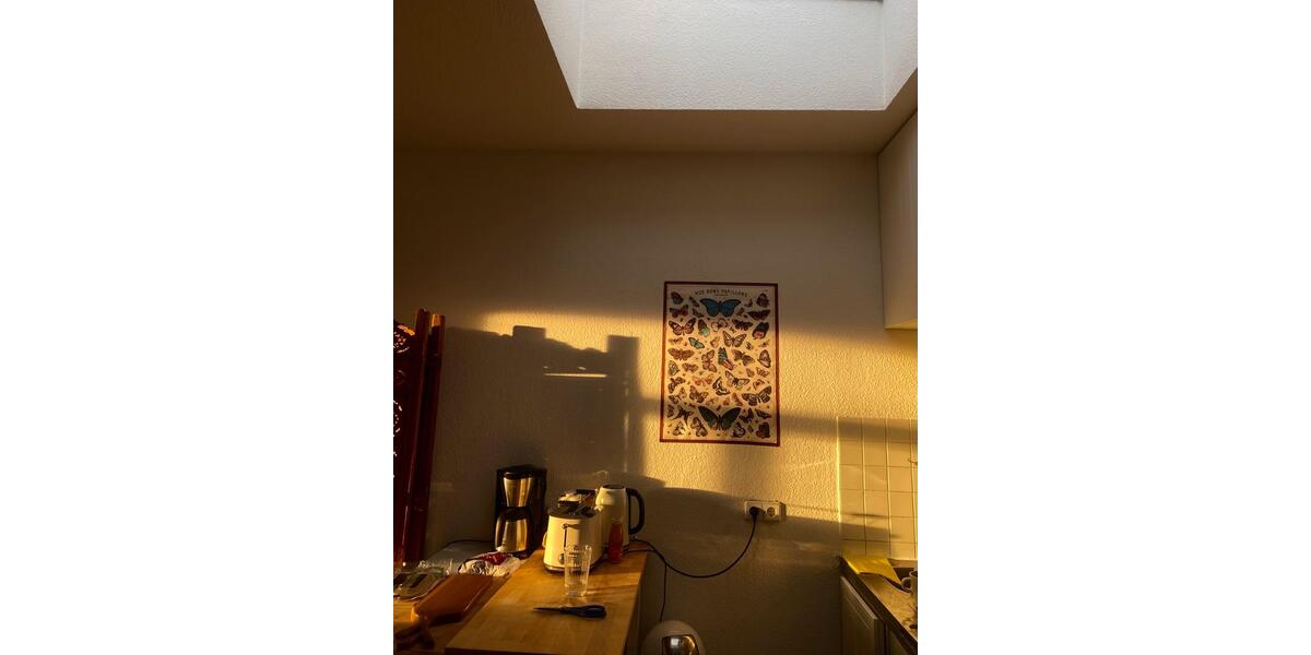 Dachgeschoßwohnung Leipzig Altwest - 2 Zimmer, 42 m&sup2;, 330&euro; | Angebot:26339656