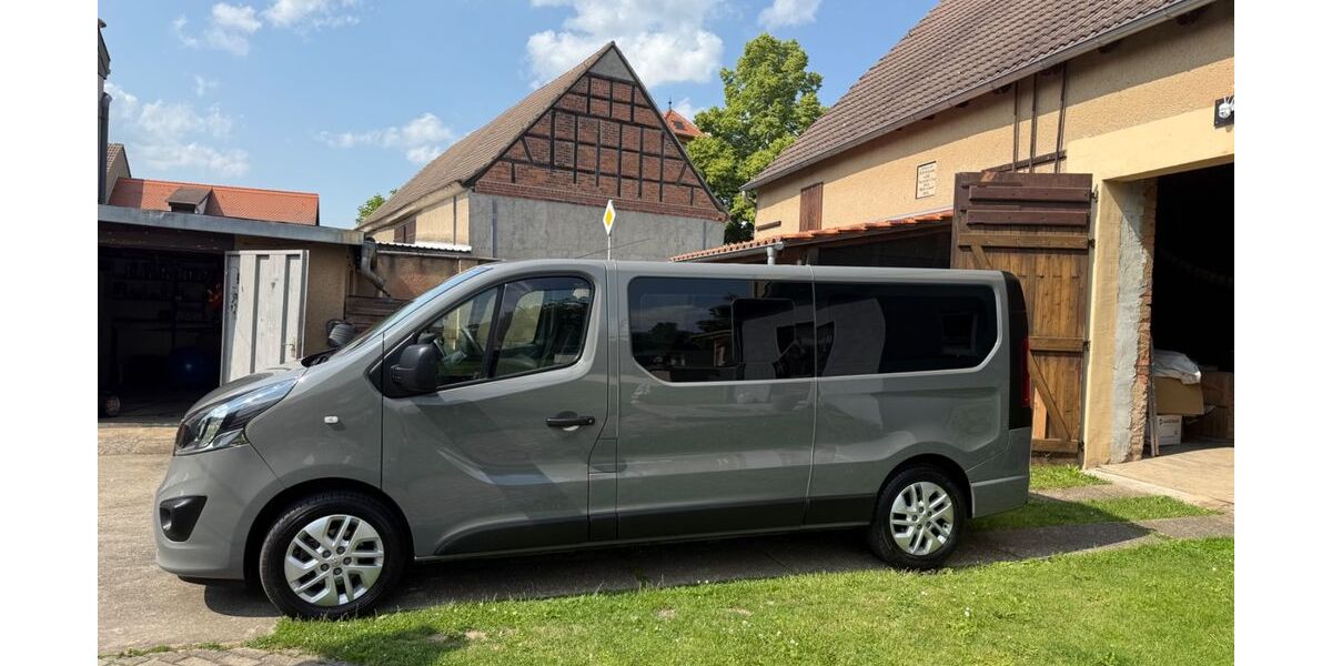 Opel Vivaro 176.000 km 18.000 &euro; Bad Dürrenberg 06231