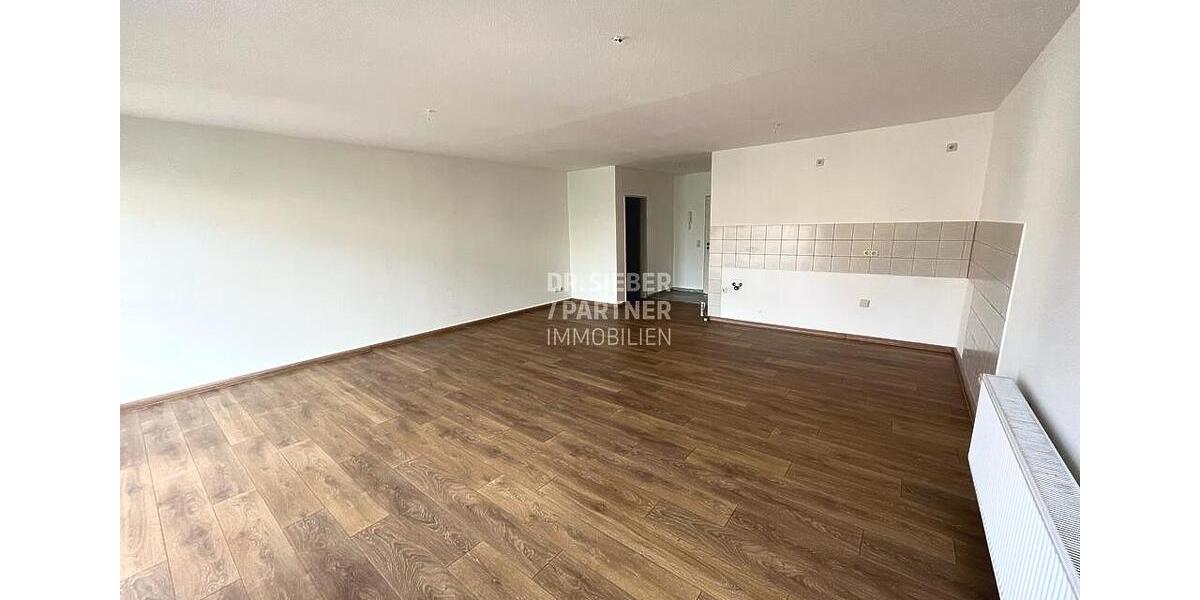 Etagenwohnung Brandis Kleinsteinberg - 1 Zimmer, 48 m&sup2;, 410&euro; | Angebot:25756462