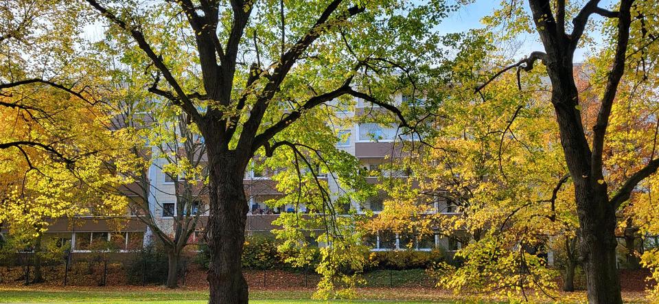 4 Zimmer Wohnung zur Miete Weißdornstraße 10 Grünau Ost Leipzig 4 zimmer
