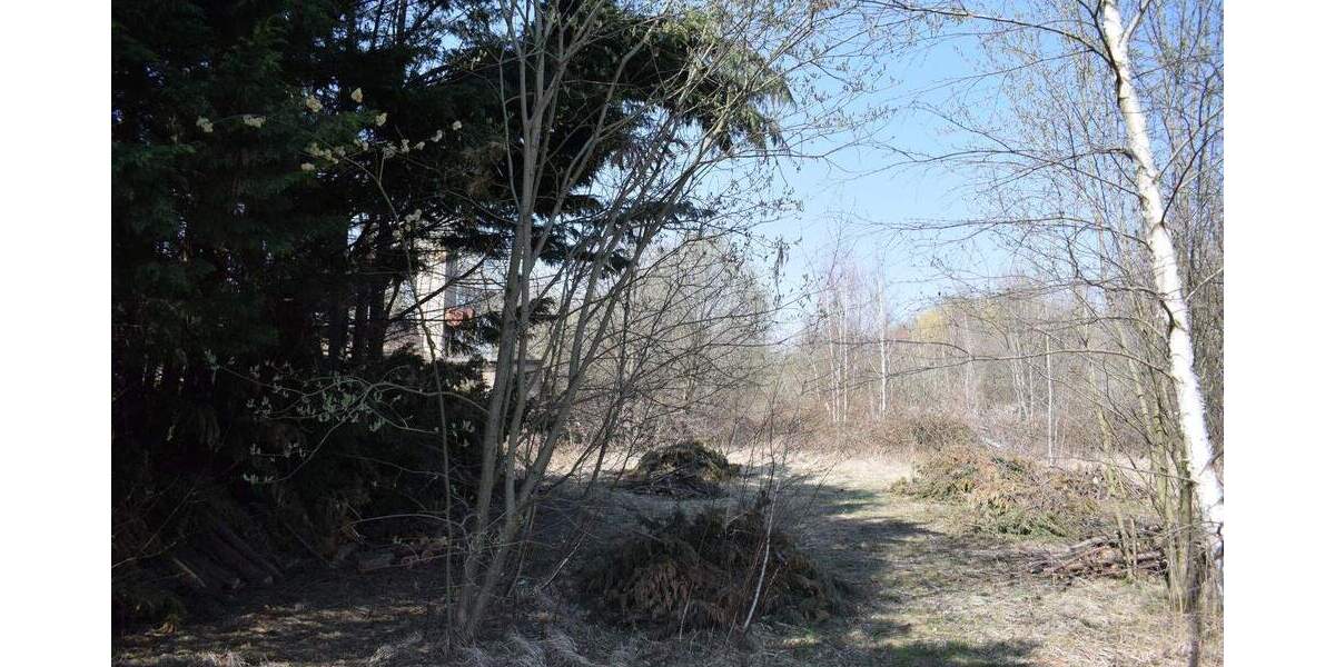 Grundstück Schkeuditz - 4.250.000&euro; | Angebot:25695634