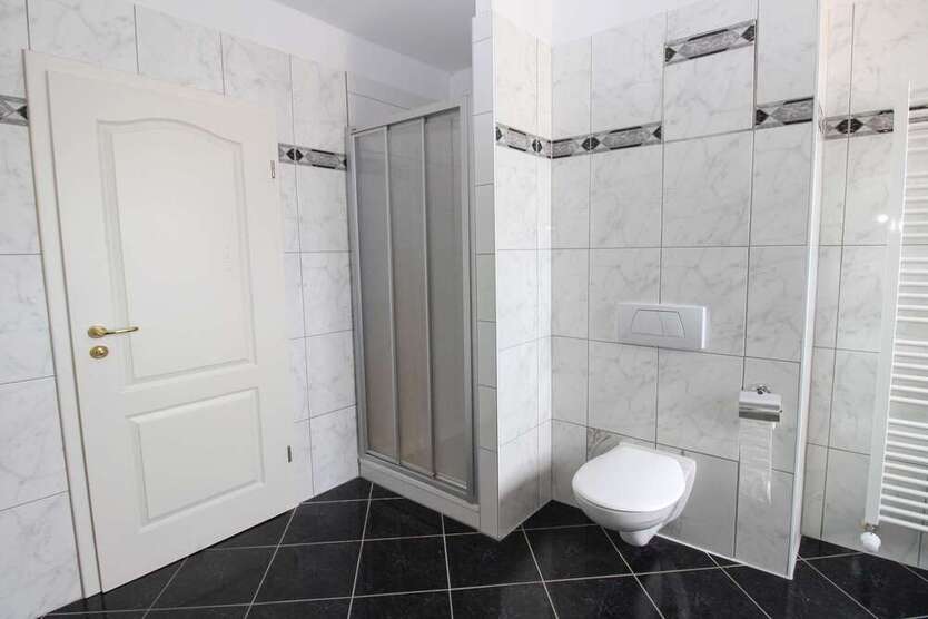 Penthouse am Clara-Zetkin-Park mit Dachterrasse, Stellplatz und Lift, befristete Vermietung
