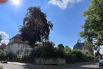 Einfamilienhaus Markkleeberg - 7 Zimmer, 264 m&sup2;, 1.950.000&euro; | Angebot:26393405