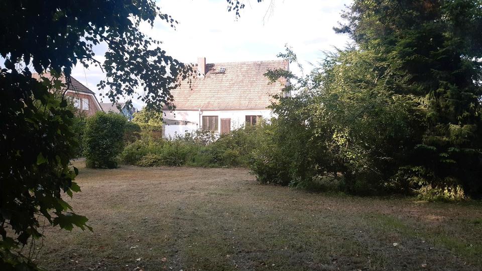Einfamilienhaus Naunhof - 379.000&euro; | Angebot:19527063