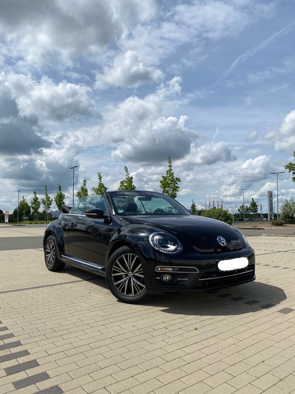 Beetle