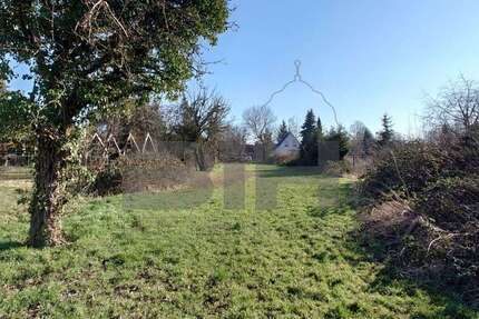 Grundstück zu verkaufen in Brehna 178.000 € 1975 m² zimmer