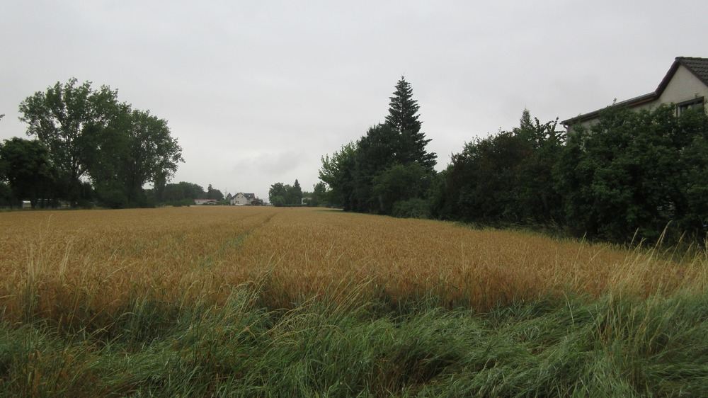 Landwirtschaftsfläche, teilw. bebaubar für Wohnen zimmer