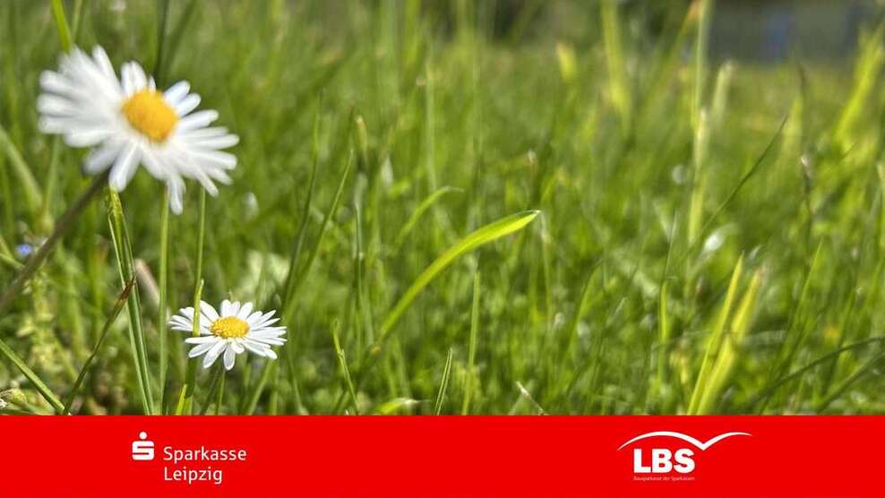 Grundstück zu verkaufen in Schkeuditz 210.000 € 1053 m²
