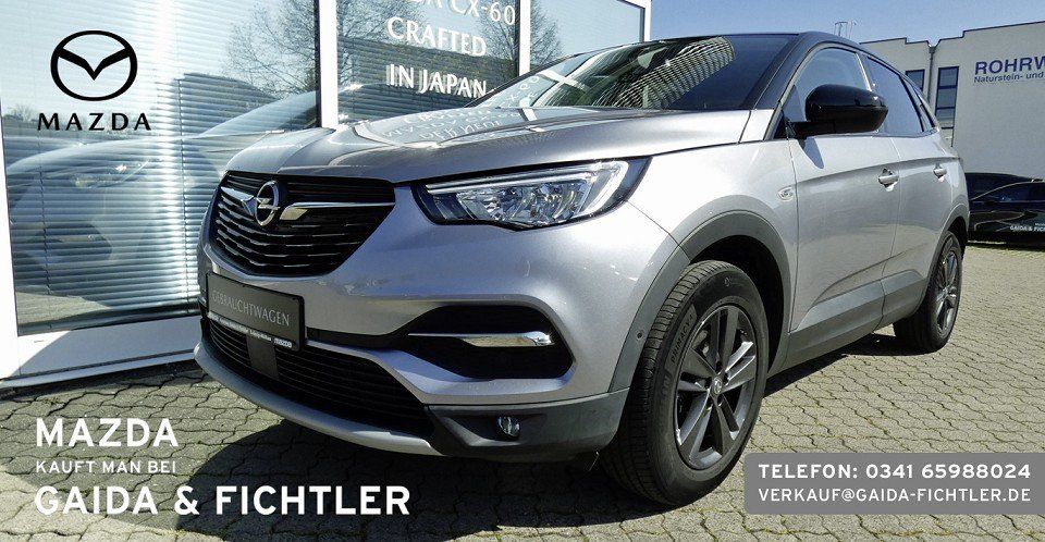 Opel Grandland (X) 52.090 km 15.980 &euro; Leipzig 04316