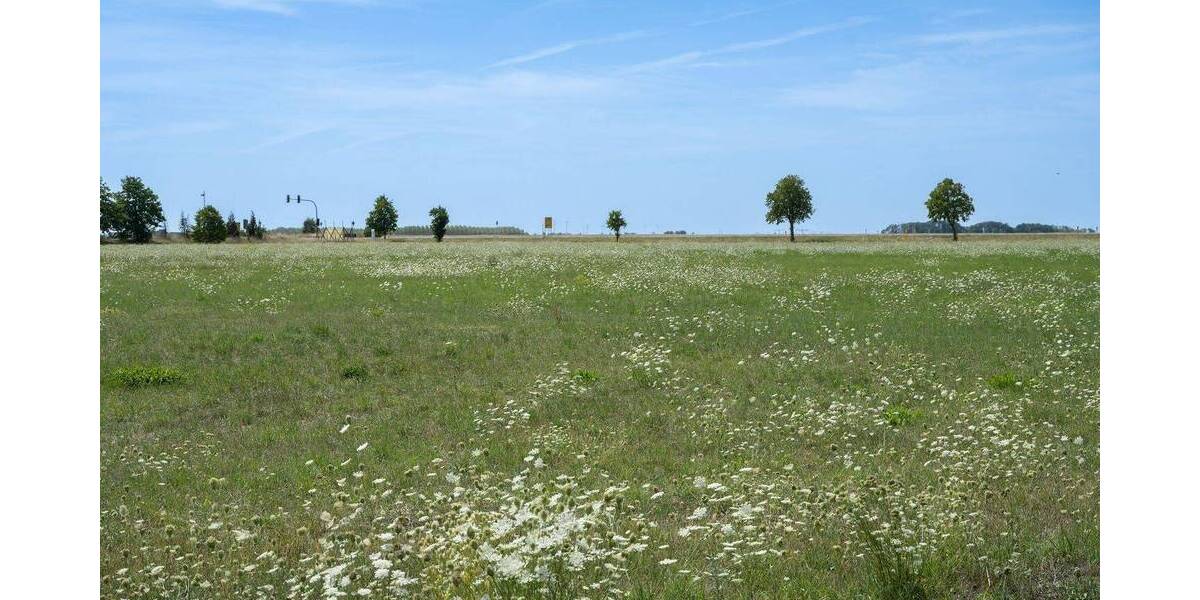 Etagenwohnung Großkugel Großkugel - 2 Zimmer, 41 m&sup2;, 67.800&euro; | Angebot:25733185