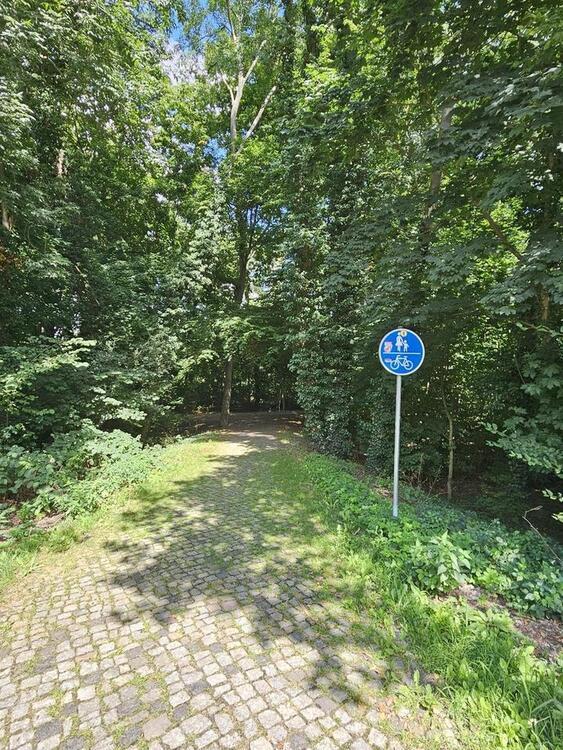 Hochwertig sanierte 3-Zimmer Wohnung in grüner Umgebung am Stadtrand von Leipzig zimmer