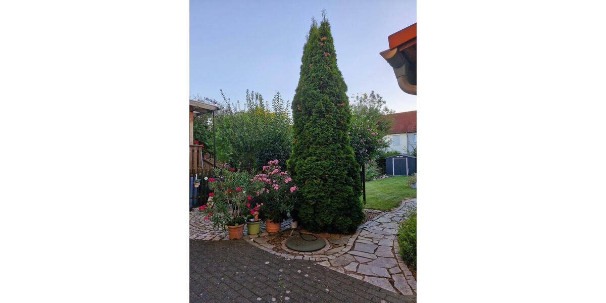 Einfamilienhaus Merseburg - 6 Zimmer, 135 m&sup2;, 243.500&euro; | Angebot:27119353