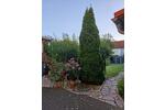 Einfamilienhaus Merseburg - 6 Zimmer, 135 m&sup2;, 243.500&euro; | Angebot:27119353