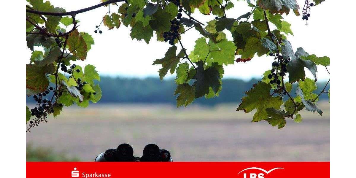 Grundstück Zschepplin - 120.000&euro; | Angebot:24024927