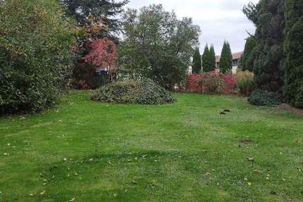 Grundstück Grimma Böhlen - 55.000&euro; | Angebot:25738692