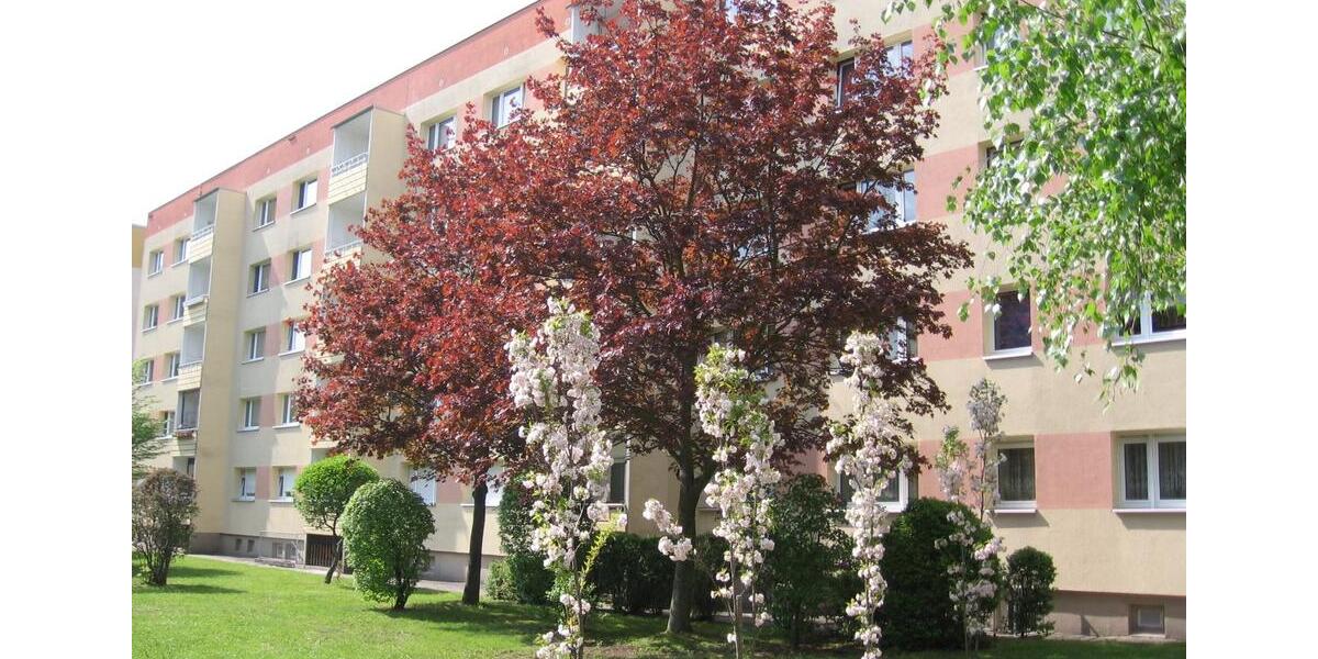 Etagenwohnung Borna - 3 Zimmer, 59 m&sup2;, 260&euro; | Angebot:25544737