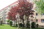 Etagenwohnung Borna - 3 Zimmer, 59 m&sup2;, 260&euro; | Angebot:25544737