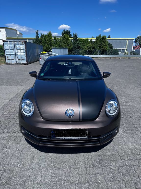 Beetle