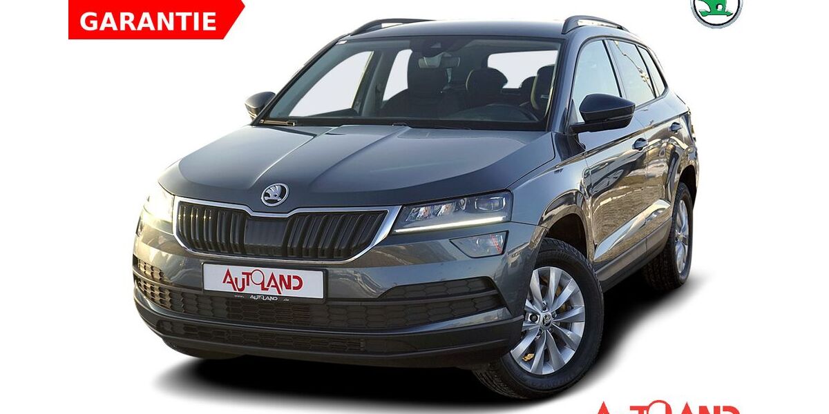 Skoda Karoq 109.000 km 16.990 &euro; Brehna 06796