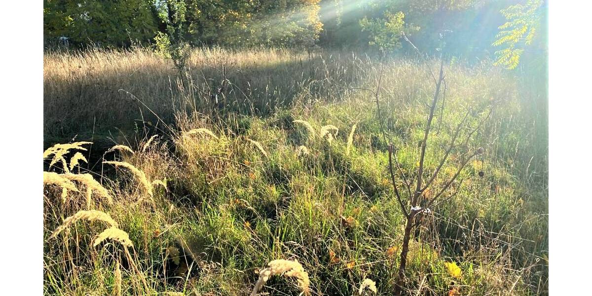 Grundstück Leipzig Holzhausen - 820.000&euro; | Angebot:25770691