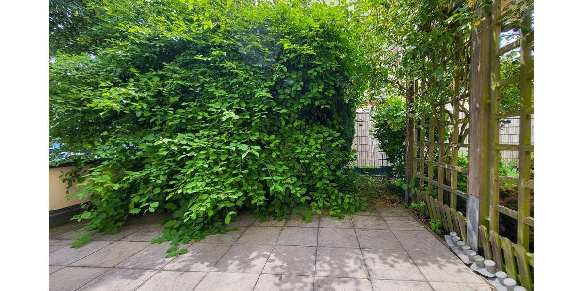 Etagenwohnung Taucha - 1 Zimmer, 41 m&sup2;, 555&euro; | Angebot:26896643