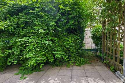 Wohnung Taucha - 1 Zimmer, 41 m&sup2;, 555&euro; | Angebot:26896643