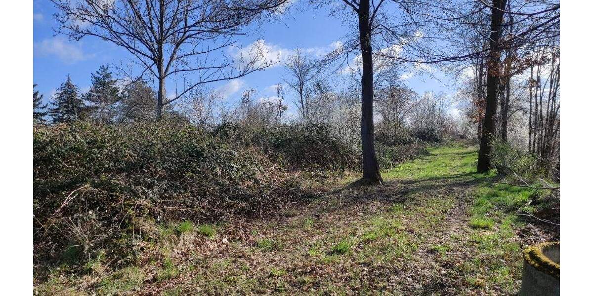 Grundstück Machern - 185.000&euro; | Angebot:25738685