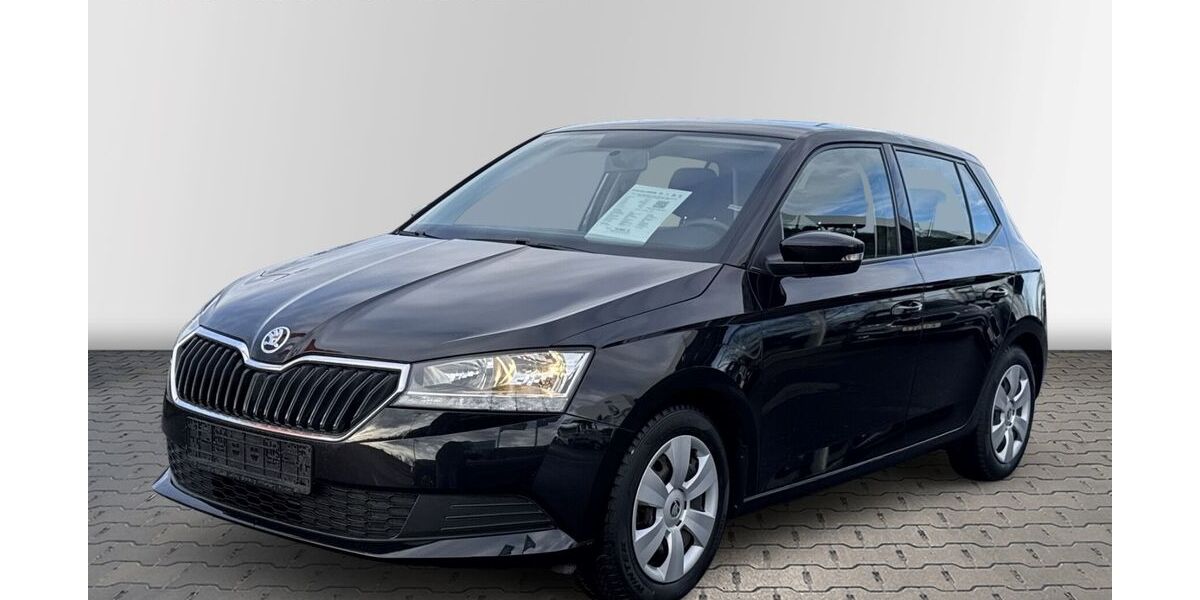 Skoda Fabia 17.365 km 13.990 &euro; Wurzen 04808