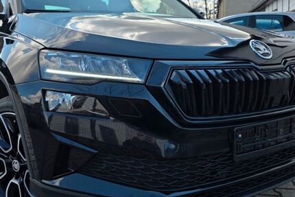 Skoda Karoq 46.600 km 29.999 &euro; Zwenkau 04442