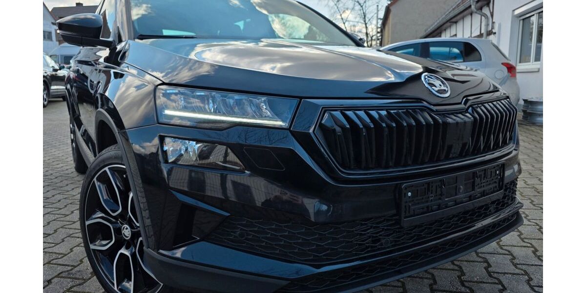 Skoda Karoq 46.600 km 29.999 &euro; Zwenkau 04442